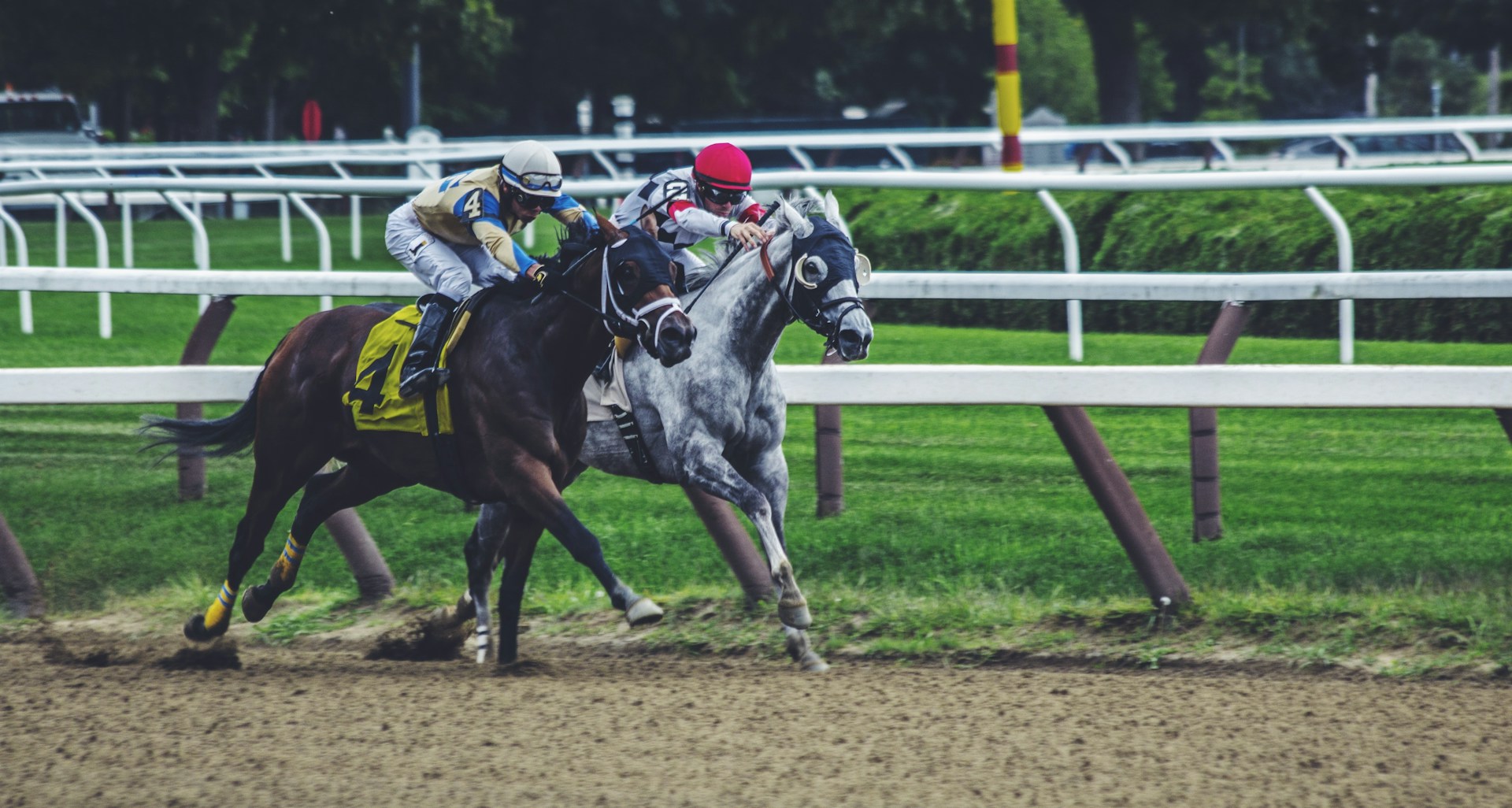 Desafíos y oportunidades en las apuestas de carreras de caballos